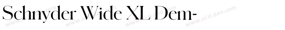 Schnyder Wide XL Dem字体转换
